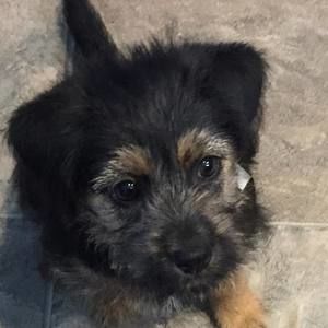 Meet your Posher, Rosemary